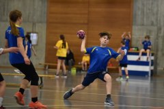 U11__85