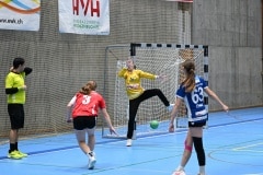 MG7_8990