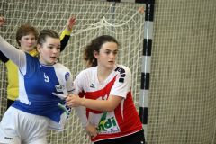 IMG_4131