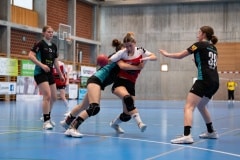 DSC04636-71