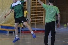 Handballwoche_2018_Nachmittag_046