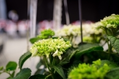 BPA_20180609_0116